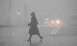 Klaipėdos oras kvepia ne žibuoklėmis