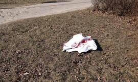 Fatališka pėsčiųjų perėja: sunkiai sužeistas vyriškis