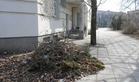 Šiukšlynai prie nenaudojamų pastatų