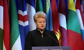 Dalia Grybauskaitė: krizė - mūsų pačių klaida