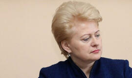 Dalia Grybauskaitė: "Pirmininkavimo metu Lietuva sieks stiprinti ES bendrąją rinką"