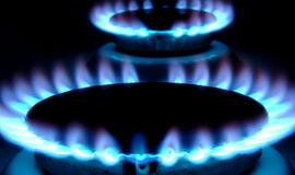 N. Udrėnas: "Pasistačius SGD dujų kaina mažėtų 20–25 proc."
