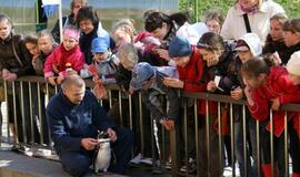 Lietuvos Jūrų muziejuje apsigyveno rykliukas