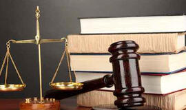 Rusija apskųs Norvegijos valdžios, paėmusios tris vaikus iš lietuvio ir rusės šeimos, veiksmus