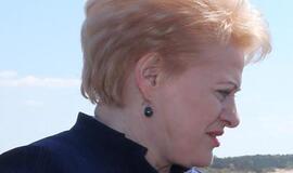 Kodėl prezidentė 2013 metais dar kartą pakeitė savo biografiją?