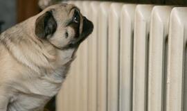 Paskutinės šildymo sezono sąskaitos - nuo 30 Lt