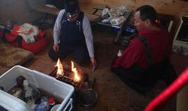 Aliaska: kur gyvena baltosios meškos