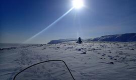 Aliaska: kur gyvena baltosios meškos