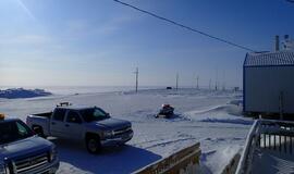 Aliaska: kur gyvena baltosios meškos