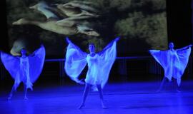 Savaitgalį - žaidynių įkarštis