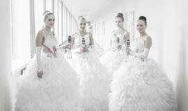 Klaipėdos valstybinė kolegija