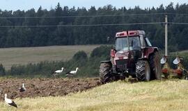 Spėti orus iš paukščių elgesio galima, bet nepatikima