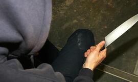 Vilniaus rajone nuo plėšikų nukentėjo dvi šeimos