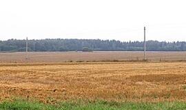 Ūkininkų nedžiugina nei derlius, nei kainos