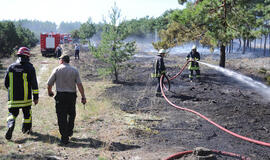 Gaisrą Kuršių nerijoje sukėlė numesta nuorūka