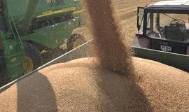 Jurbarko rajono kaime grūduose nuskendo vaikas