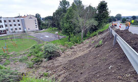 Liūtis atskleidė projektuotojų klaidas