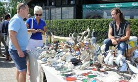 Amatų dienos Nidoje