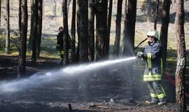 Gaisras Smiltynėje