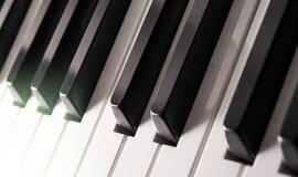 Iš automobilio pavogė elektrinius vargonus