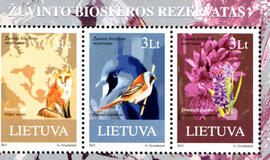 Lietuviai raginami kurti pašto ženklus