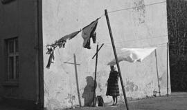 Parodoje - klaipėdietiški "reportažai be įvykių"