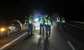 Magistralėje visureigis susidūrė su briedžiu