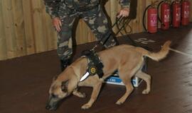 Kinologų bei tarnybinių šūnų čempionatas