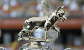 Kinologų bei tarnybinių šūnų čempionatas