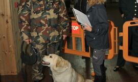 Kinologų bei tarnybinių šūnų čempionatas