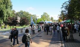 Tūkstančio stalų šventė "Palangos stalas 2013"