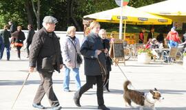 Tūkstančio stalų šventė "Palangos stalas 2013"