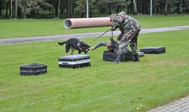 Kinologų bei tarnybinių šūnų čempionatas