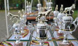 Kinologų bei tarnybinių šūnų čempionatas