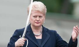 Dalia Grybauskaitė: esame arti galimybės pasirašyti laisvosios prekybos sutartį su Ukraina