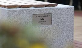 Miestui pristatytas Svajoklis