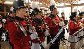 Baltų vienybės diena