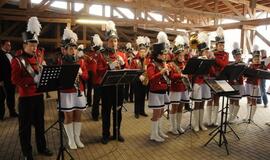 Baltų vienybės diena