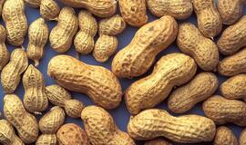 Riešutų forma atskleidžia, kokiam žmogaus organui jie naudingi