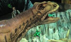 Šaltas dušas "Jūros periodo parko" gerbėjams: dinozaurus klonuoti nėra jokių galimybių