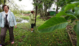 Sodų žemė - nesutarimų garantas