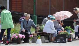 Bobulės su gėrybėmis verčia sukti galvas