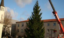 Gargždų centrą papuošė žaliaskarė