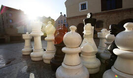 Klaipėdos centre pagrobtas karalius