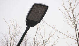 Korėjiečiai klaipėdiečių neapgavo