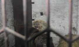 Iš Klaipėdos zoologijos sodo konfiskuoti meškėnai