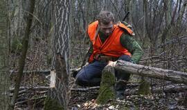 Medžioklė Klaipėdos rajone