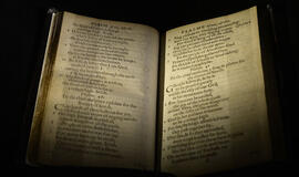 Rekordas: knyga aukcione parduota už 14 mln. dolerių