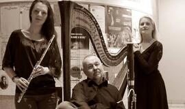 Uostamiestyje koncertuos vilniečių trio