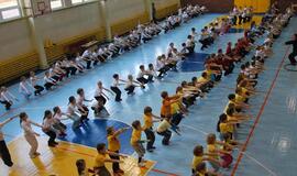 2013-ieji - ir neįtikėtinų rekordų metai